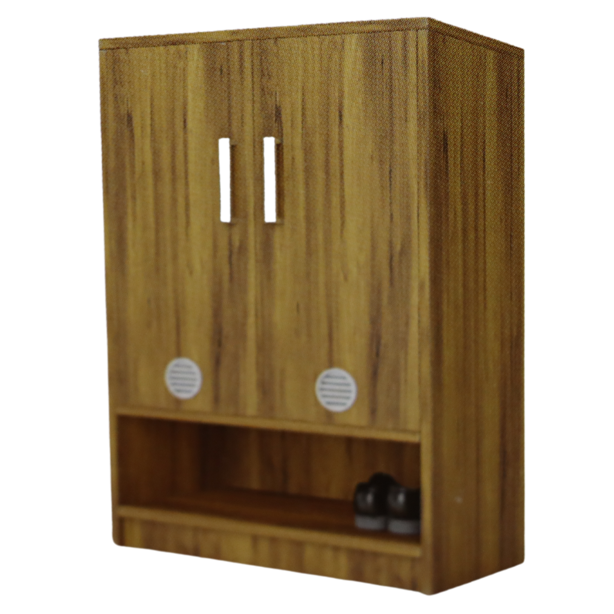 Two Door Engineered Wood Shoe Cabinet