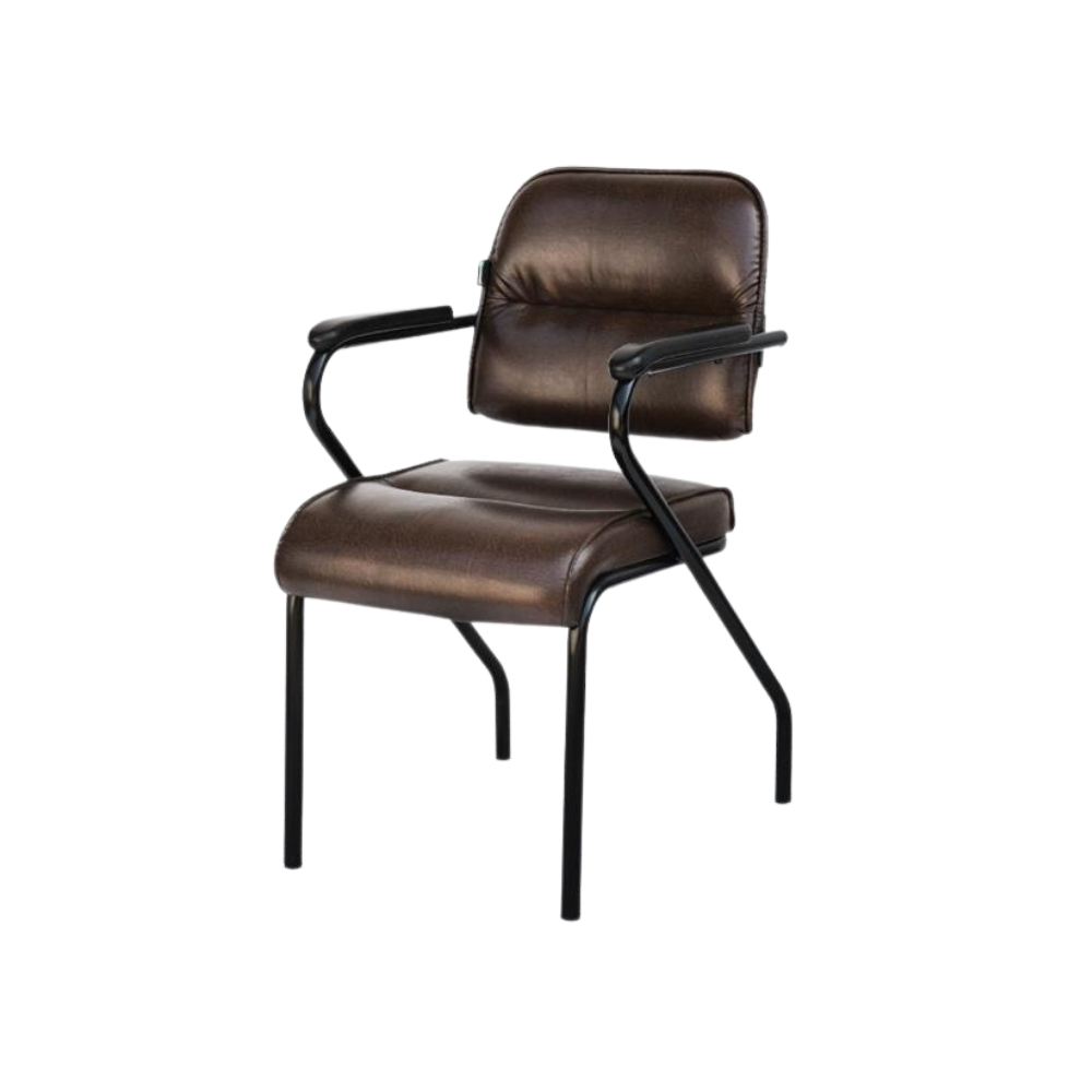 Praise  Artificial Leather Visiting Chair